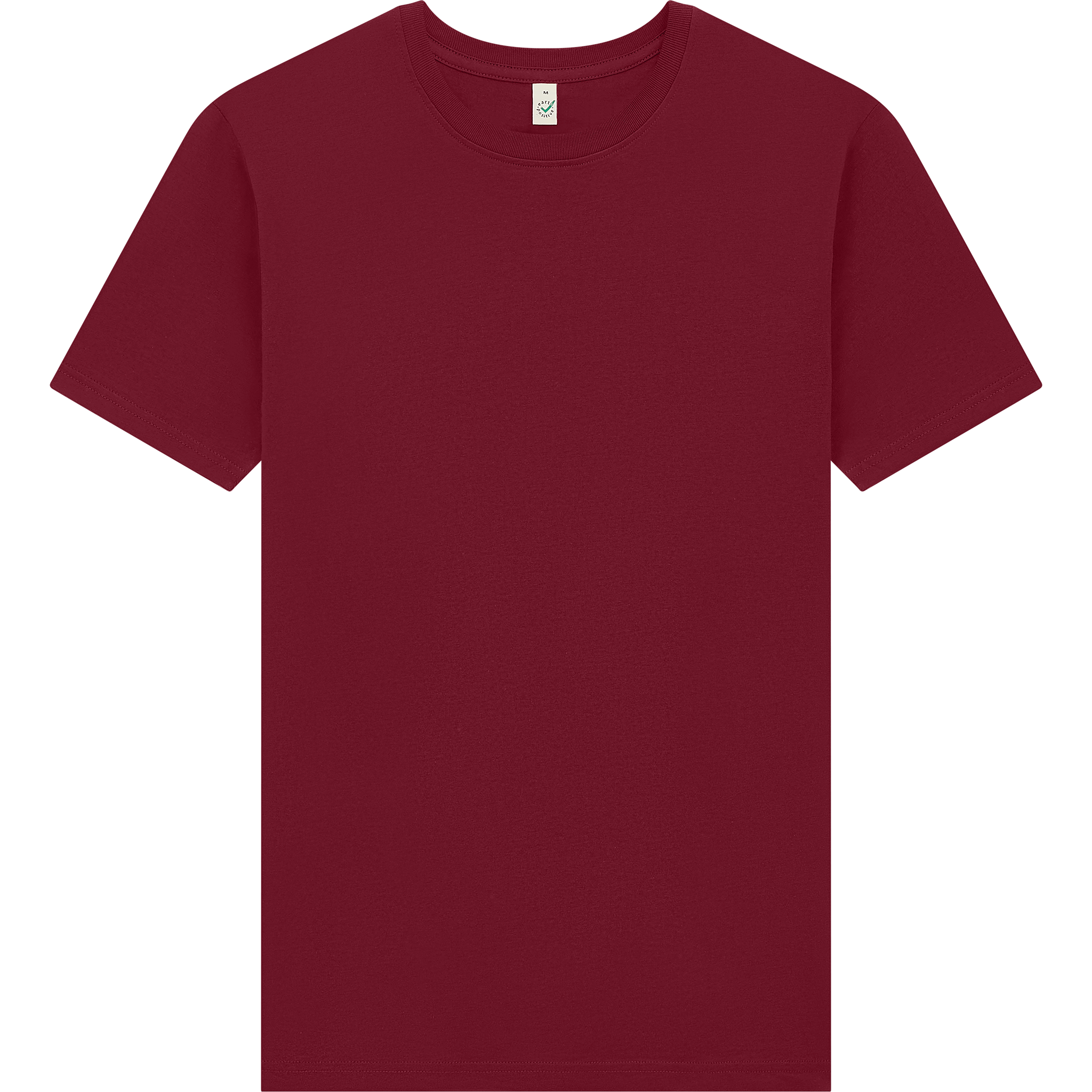 Earth Positive® EP185 premium jersey T-shirt in charcoal color, front view showing soft cotton fabric and classic fit.