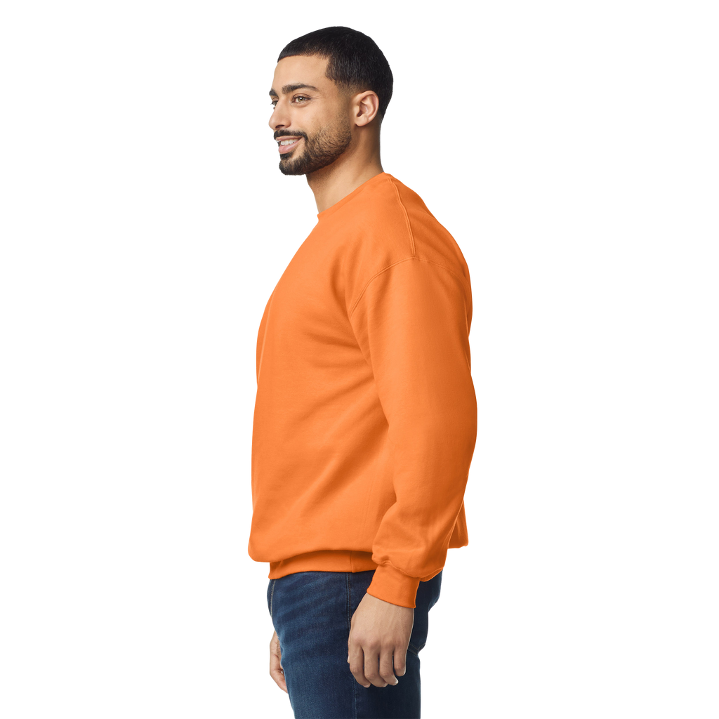 Softstyle klasiskais džemperis SF000 - Kombis