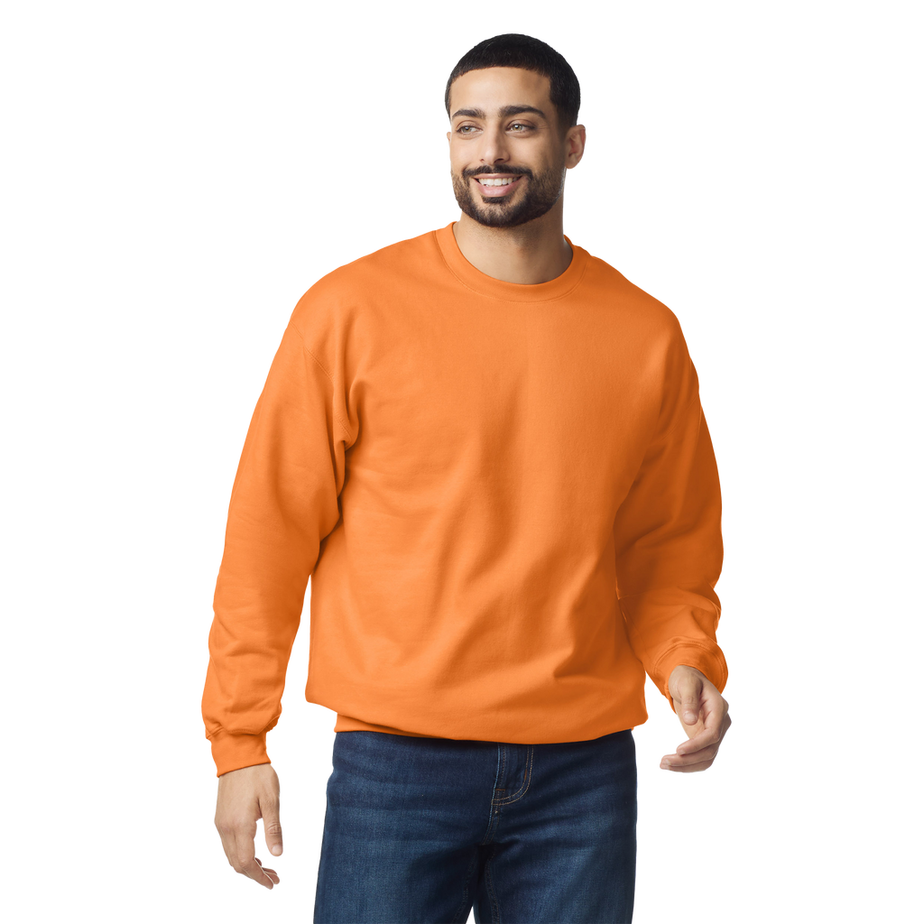 Softstyle klasiskais džemperis SF000 - Kombis
