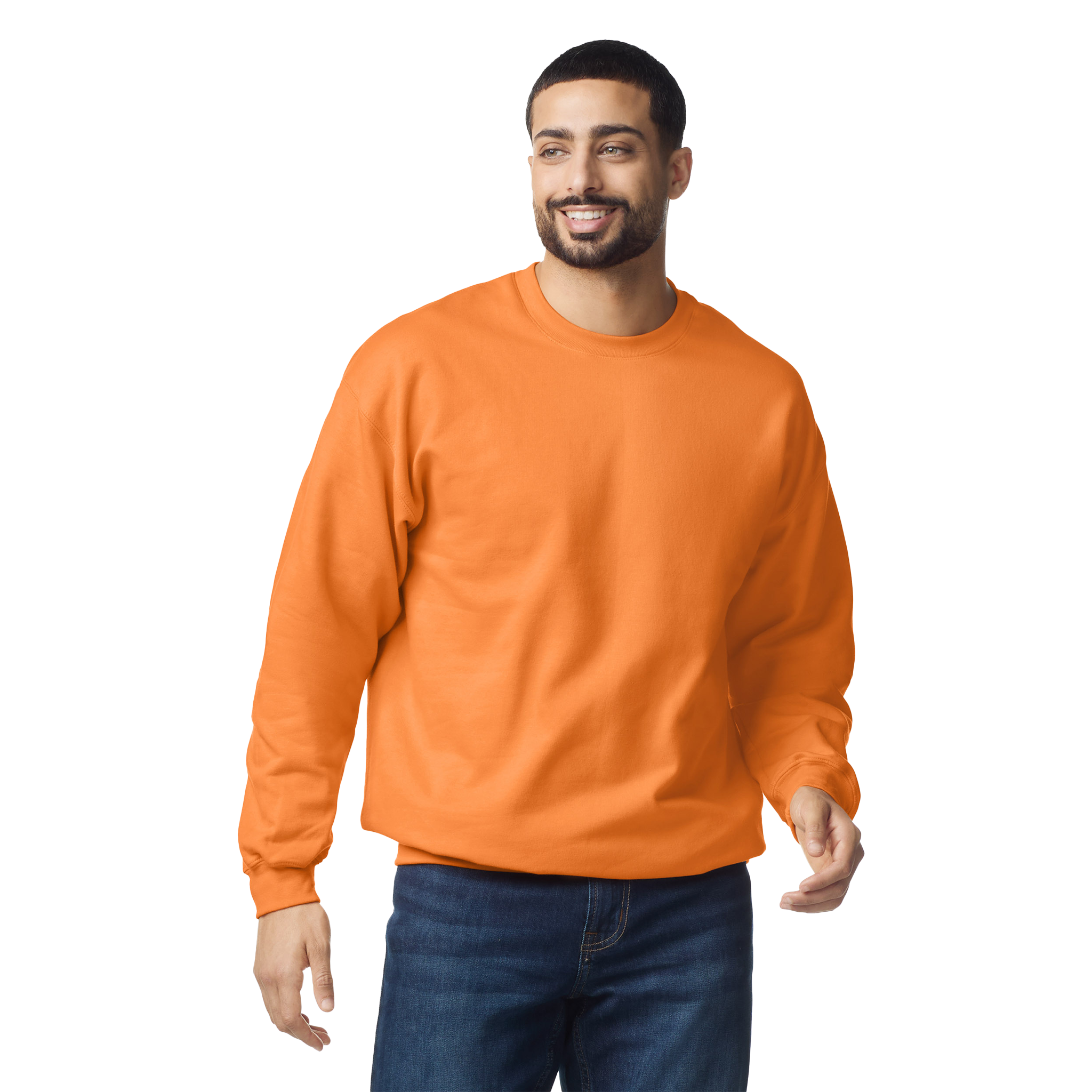 Softstyle klasiskais džemperis SF000 - Kombis