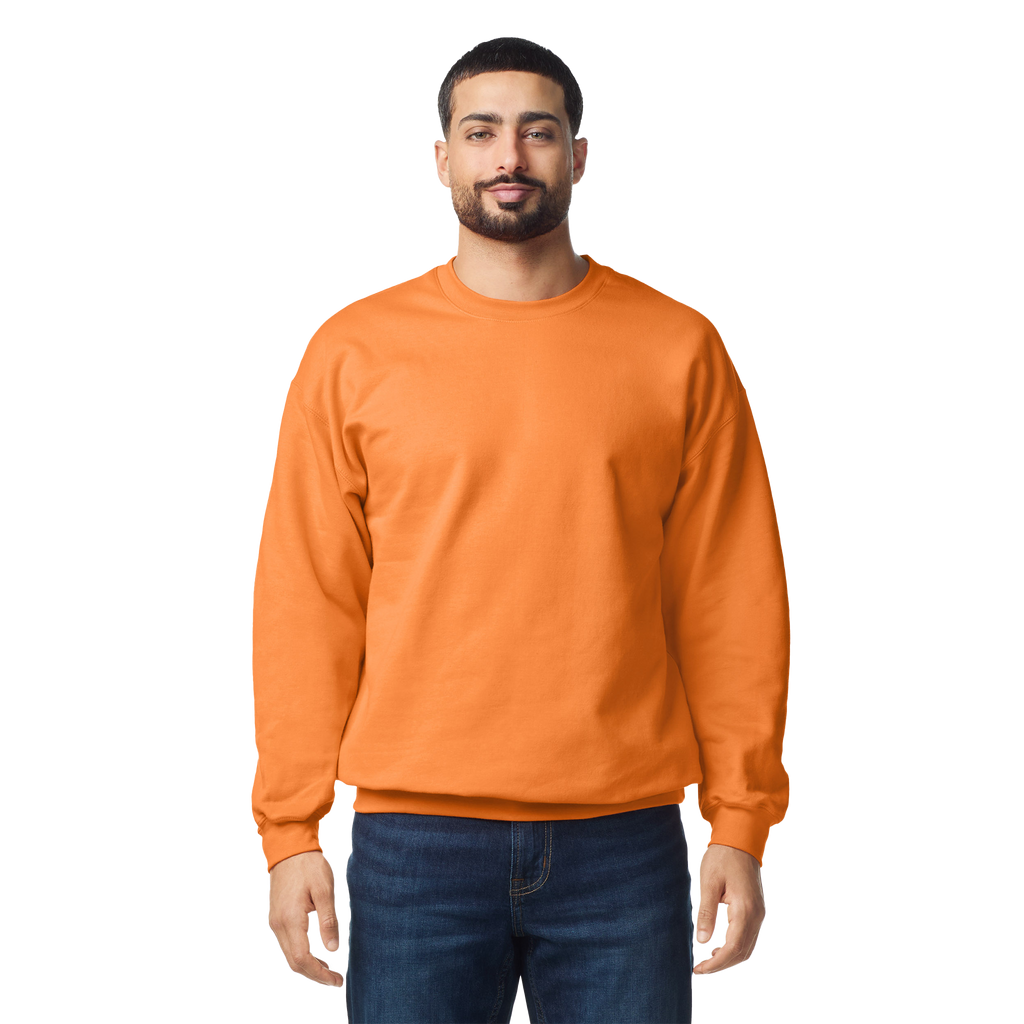 Softstyle klasiskais džemperis SF000 - Kombis