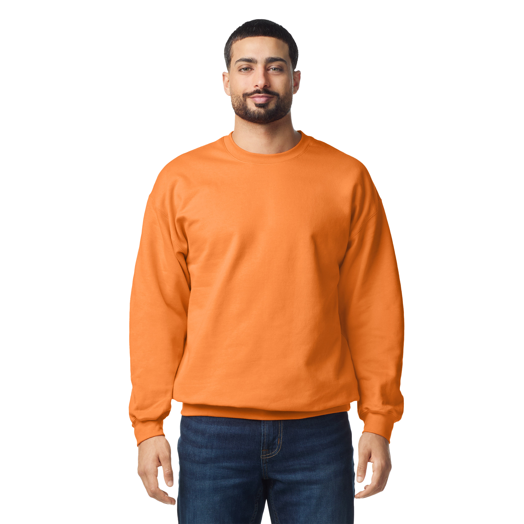 Softstyle klasiskais džemperis SF000 - Kombis