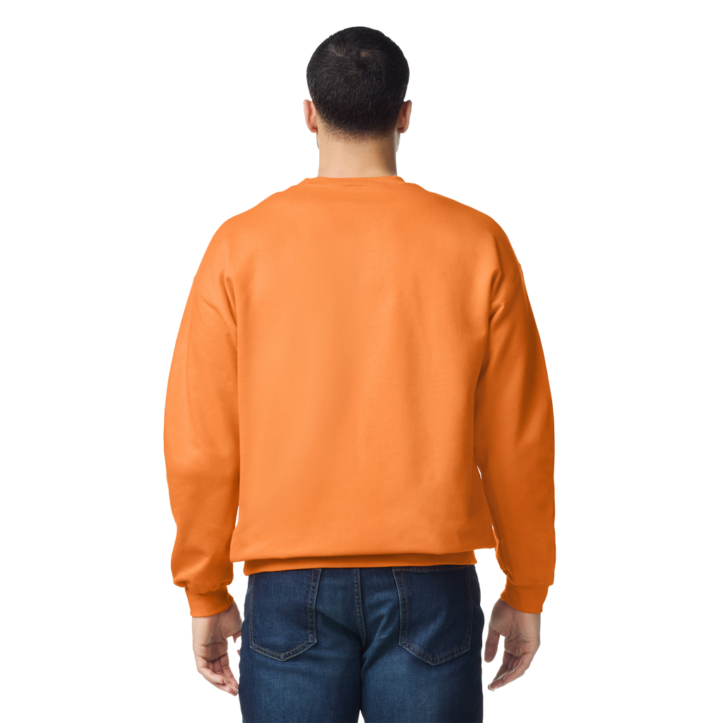 Softstyle klasiskais džemperis SF000 - Kombis