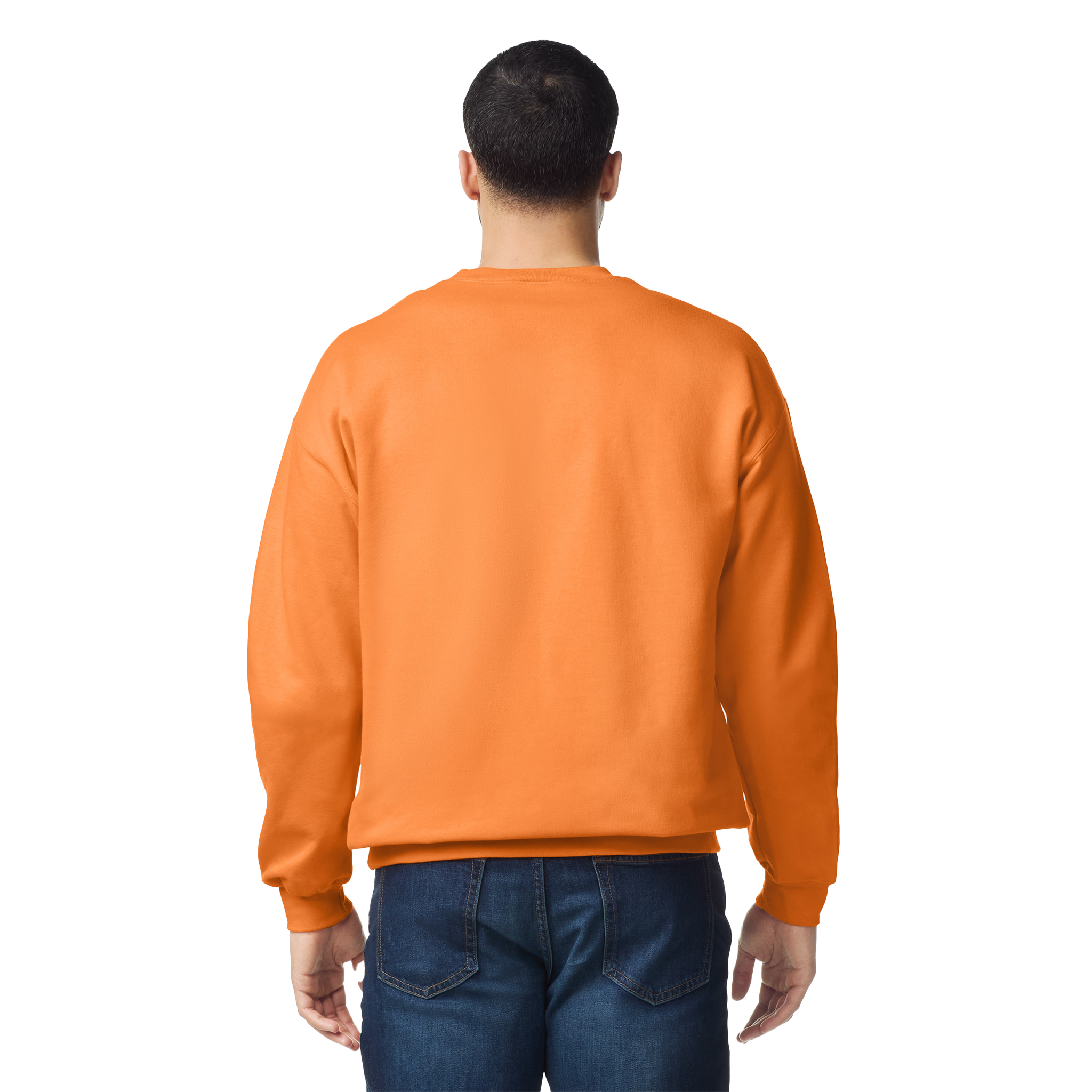 Softstyle klasiskais džemperis SF000 - Kombis